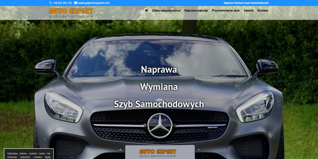 auto-expert